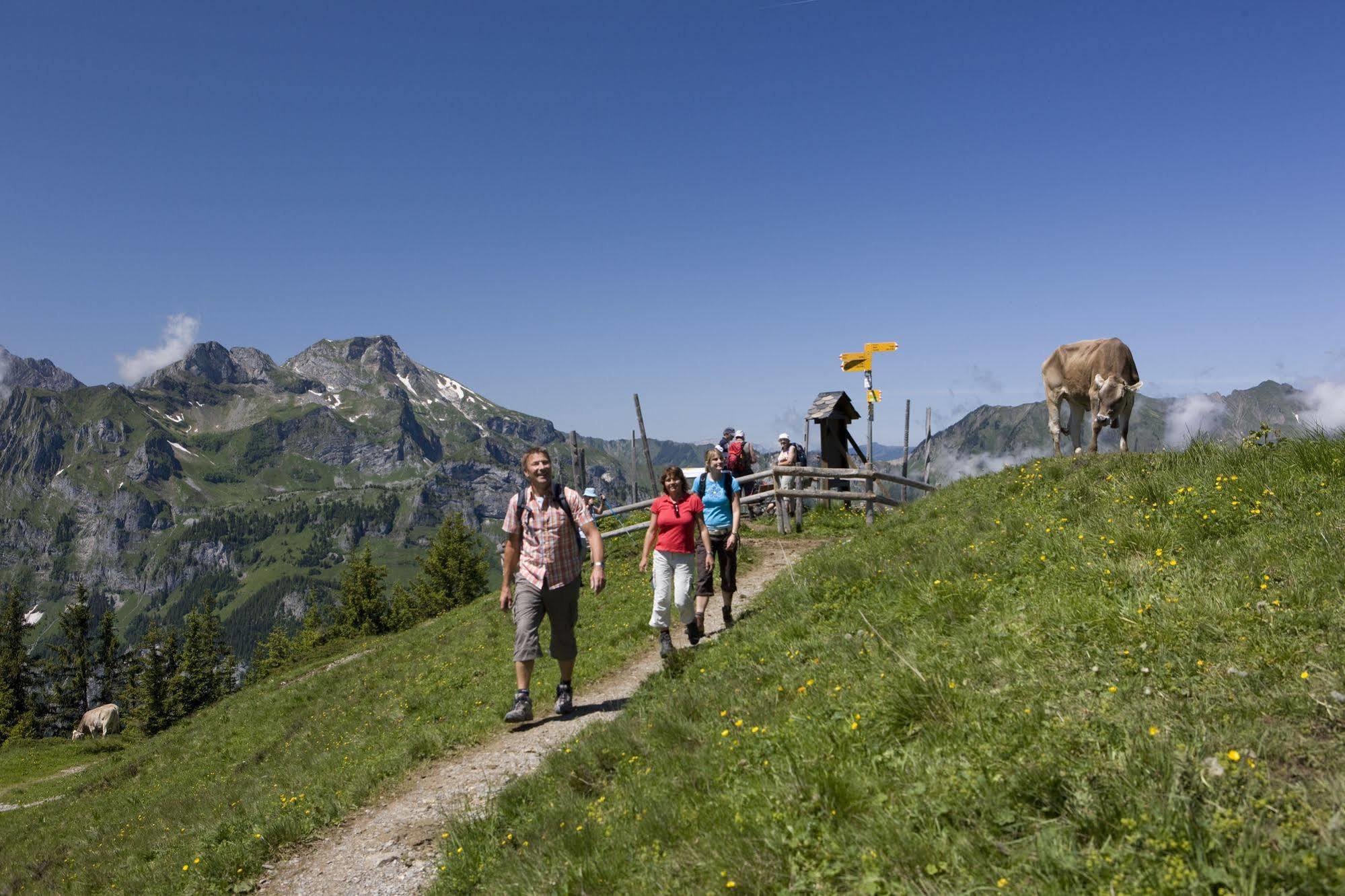 Berglodge Restaurant Ristis Engelberg Exterior photo